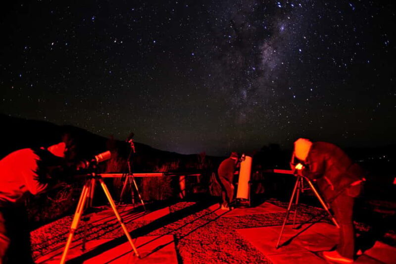 Hanmer Springs: Guided Stargazing Tour - Who Will Love This Experience?