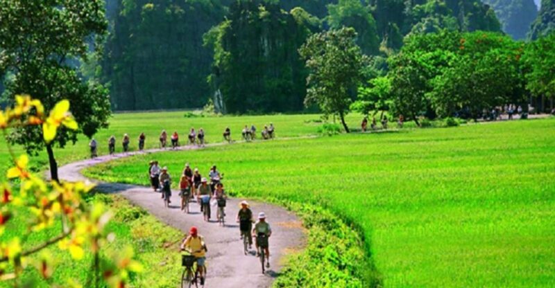 Hanoi: 2-Day Tour to Ninh Binh & Halong Bay With Transfer - Who Should Book This Tour?