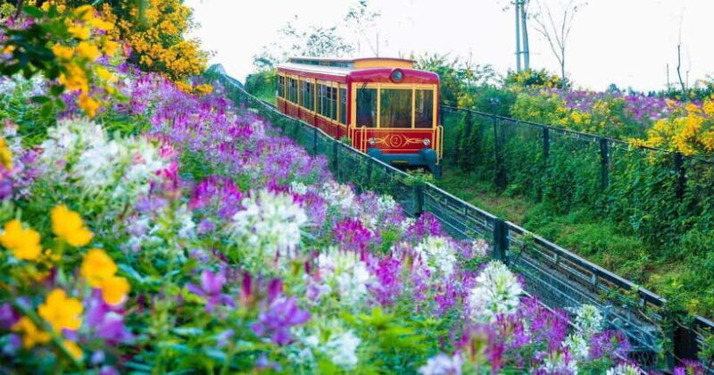 Hanoi: 3-Day Authentic Sapa Trekking, Fansipan by Cable Car - The Sum Up