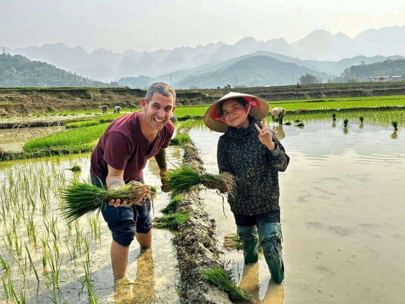Hanoi: 3-Day Mu Cang Chai Trekking, Hidden Trail, Local Life - FAQ