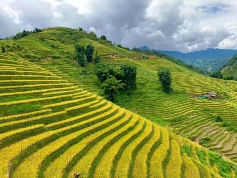 Hanoi: 3 Days Sapa- Trekking Cat Cat, Lao Chai,Glass Bridges - Transportation and Guide Options: Flexibility and Comfort