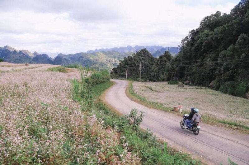 Hanoi: 4-Day Ha Giang Loop Motorbike Tour Group or Private - An In-Depth Look at the 4-Day Ha Giang Loop Tour