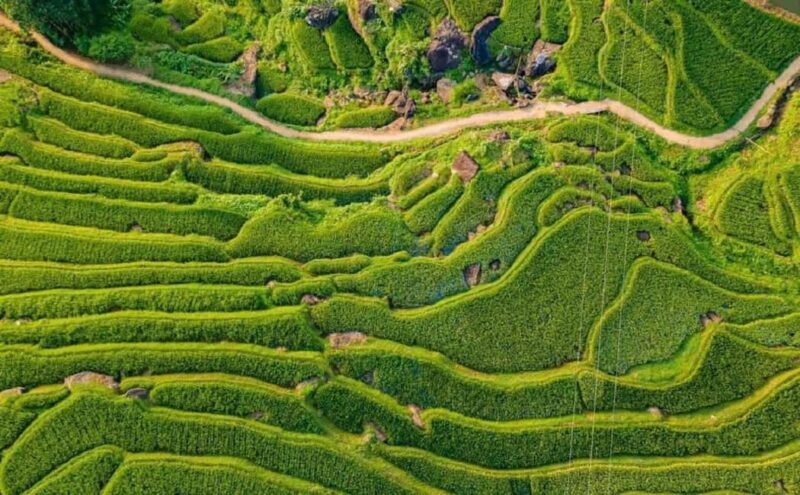 Hanoi: 4-day tour Immersion in the heart of the villages of northern Vietnam - Who Is This Tour Best For?