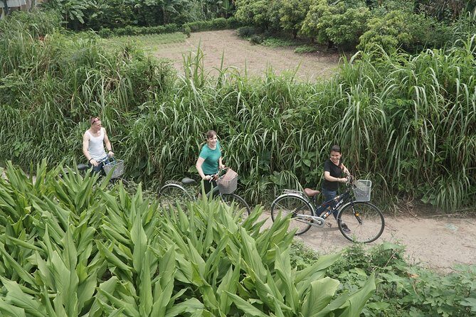 Hanoi Backstreet Bicycle Tour - Practical Tips