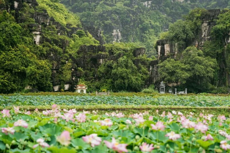 Hanoi: Bai Dinh Pagoda, Mua Cave, Trang An Tour BEST SELLER - FAQ