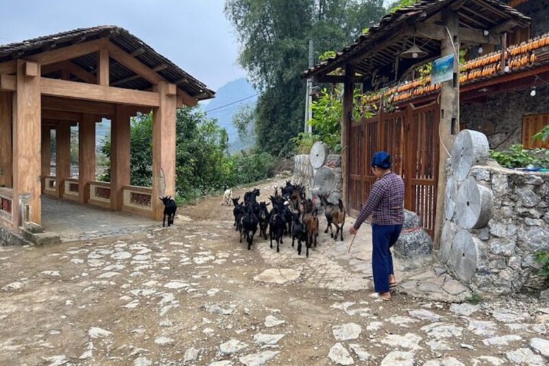 Hanoi: Ban Gioc Waterfall to Hidden Village Trekking Tour - An In-Depth Look at the Tour Experience