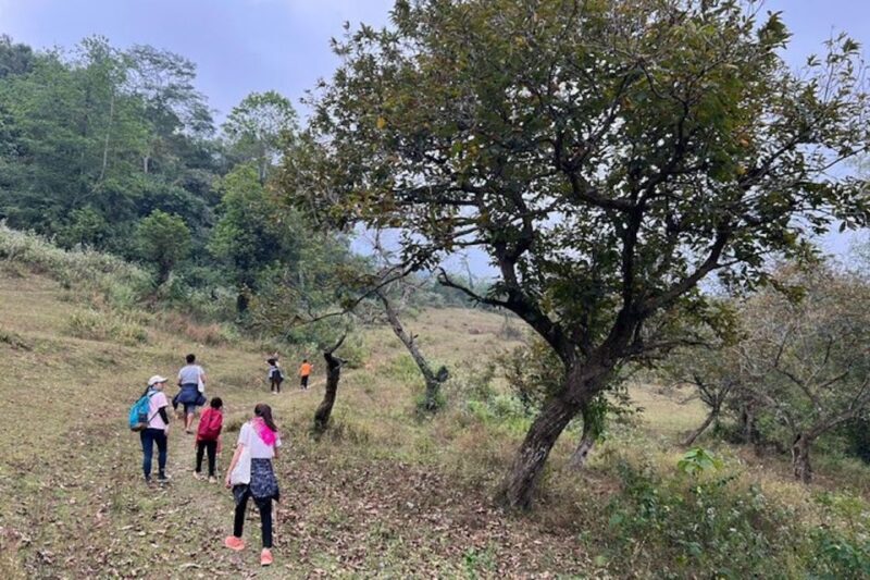 Hanoi: Ban Gioc Waterfall to Hidden Village Trekking Tour - Who Would Love This Tour?