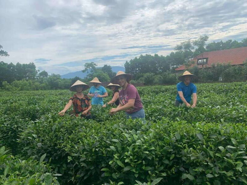 Hanoi: Bavi Eco Tour. Authentic, Local Life & Non Touristy - Final Thoughts: Who Should Take This Tour?