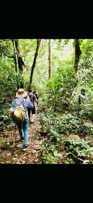 Hanoi: Cat Ba National Park Adventure Day Tour - Key Points