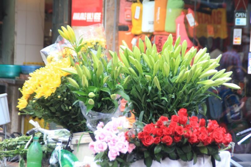 Hanoi city Day tour with lunch, tour guide, tranfers, ticket - FAQ