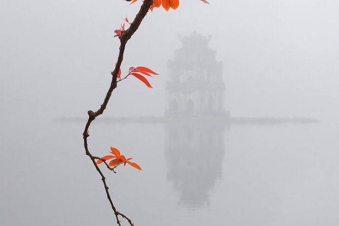 Hanoi city tour - Savoring Vietnamese Cuisine