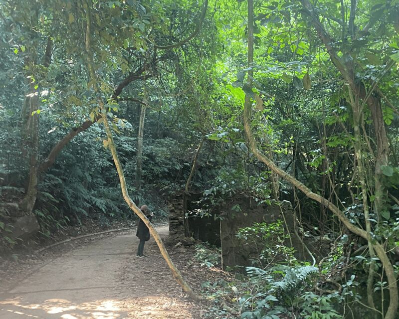 Hanoi Eco Tour: Ba Vi National Park Wonders & Tea Plantation - The Experience for Different Travelers