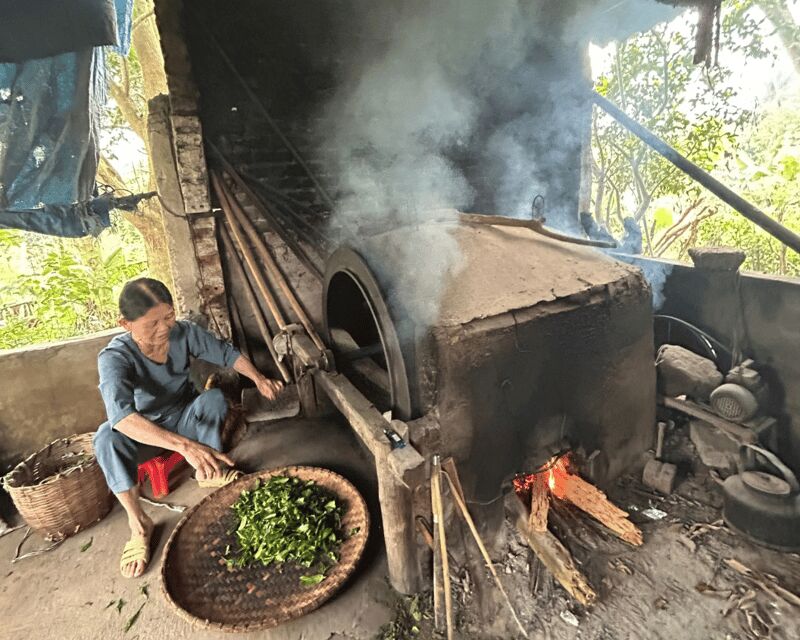 Hanoi Eco Tour: Ba Vi National Park Wonders & Tea Plantation - The Sum Up