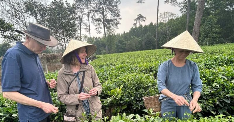 Hanoi Eco Tour: Ba Vi National Park Wonders & Tea Plantation - FAQ