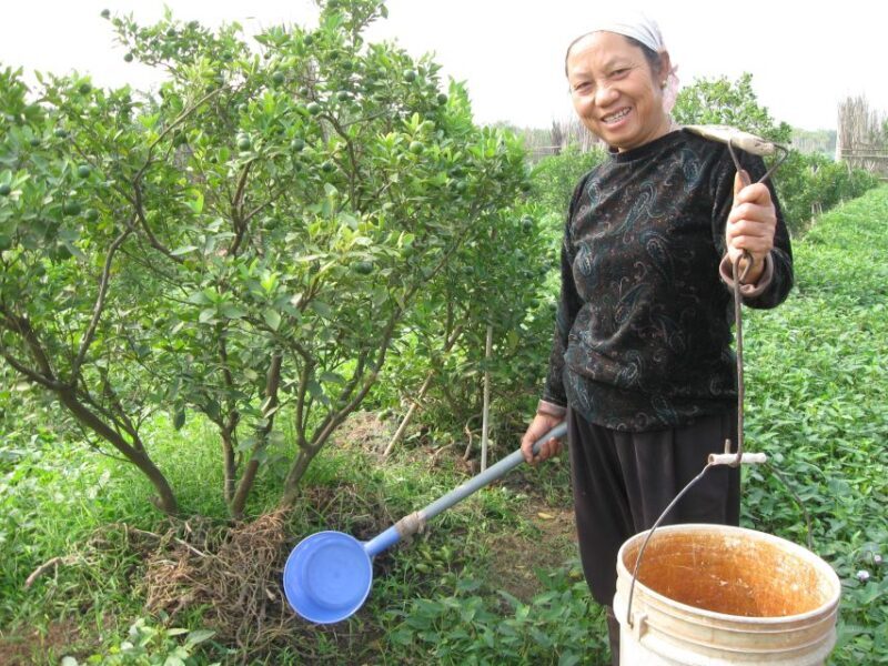 Hanoi Farm Tour and Cooking Class with Local Family - Final Thoughts: Is It Worth It?