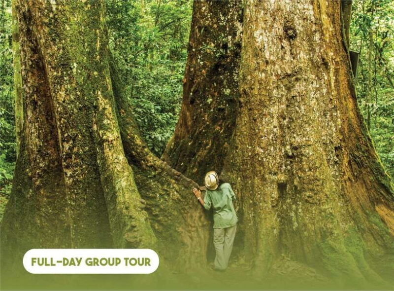 Hanoi: Full-day Cuc Phuong National Park Eco-adventure - An In-Depth Look at the Cuc Phuong National Park Eco-adventure