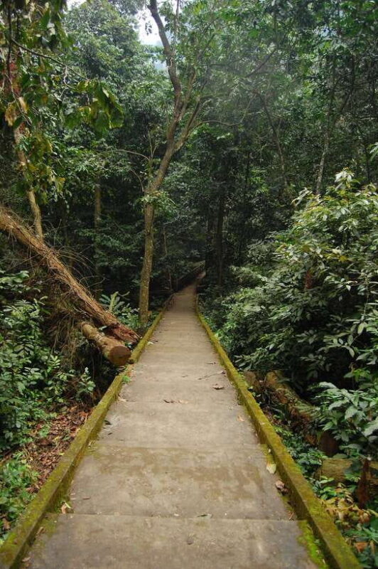 Hanoi: Full-day Cuc Phuong National Park Eco-adventure - Who Will Love This Tour?