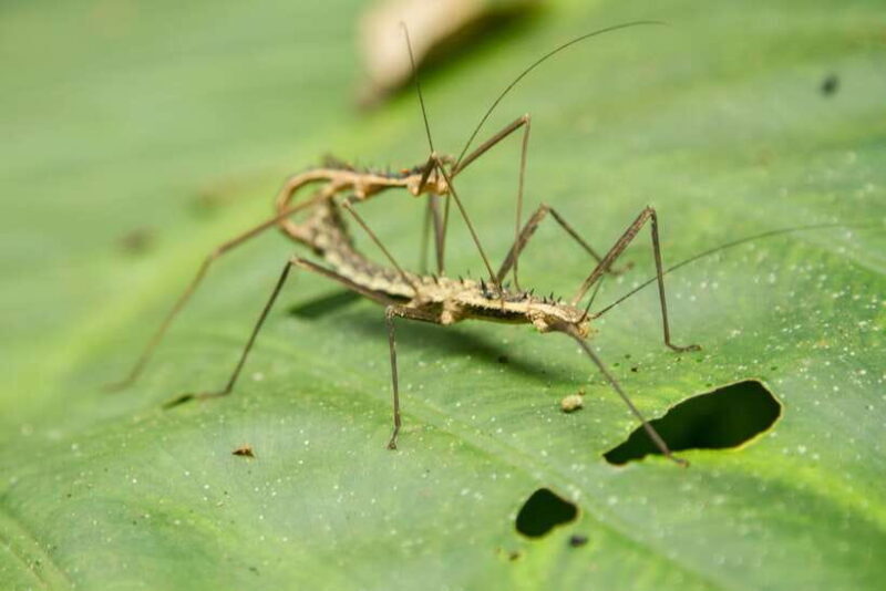 Hanoi: Full-day Cuc Phuong National Park Eco-adventure - FAQ