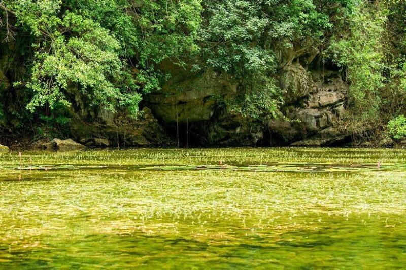 Hanoi: Full-day Exploring Hoa Lu And Trang An Grottoes - How the Tour Works and What to Expect