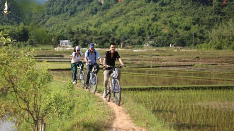 Hanoi: Full Day Guided Tour of Hoa Lu, Tam Coc, and Mua Cave - Introduction