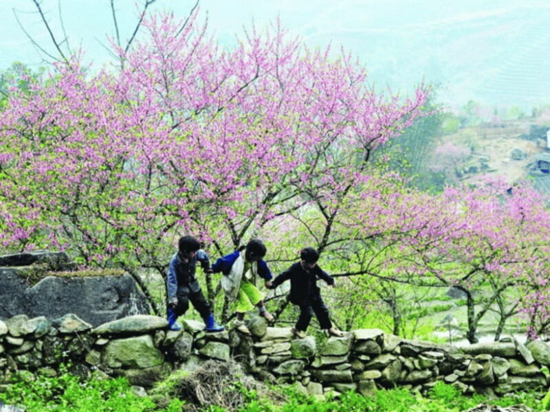 Hanoi: Ha Giang Loop Tour 3 Days 2 Nights with easy rider - Key Points