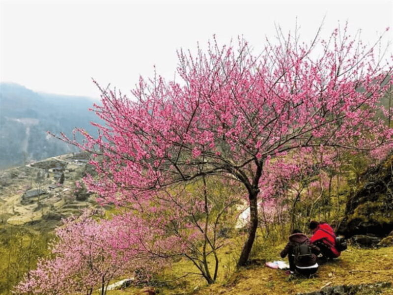Hanoi: Ha Giang Loop Tour 3 Days 2 Nights with easy rider - The Practical Side: What It’s Like to Participate