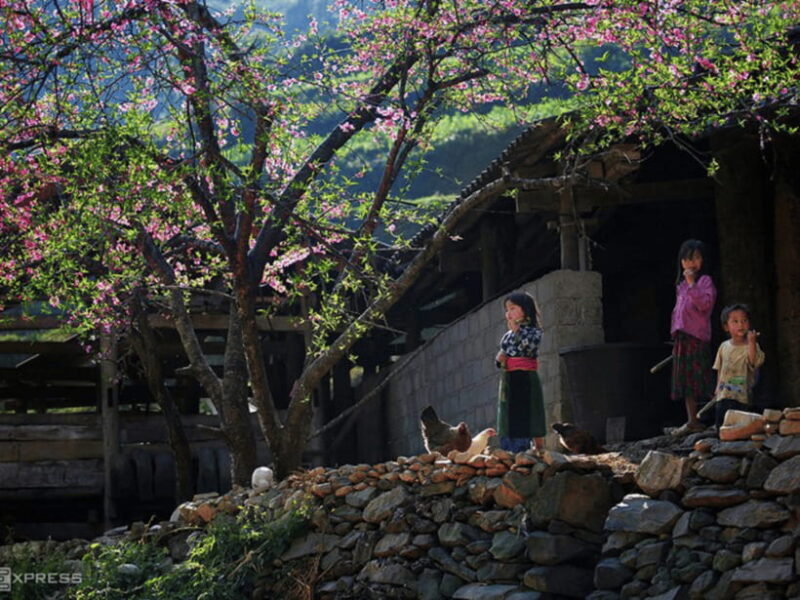 Hanoi: Ha Giang Loop Tour 3 Days 2 Nights with easy rider - Who Is This Tour Best For?