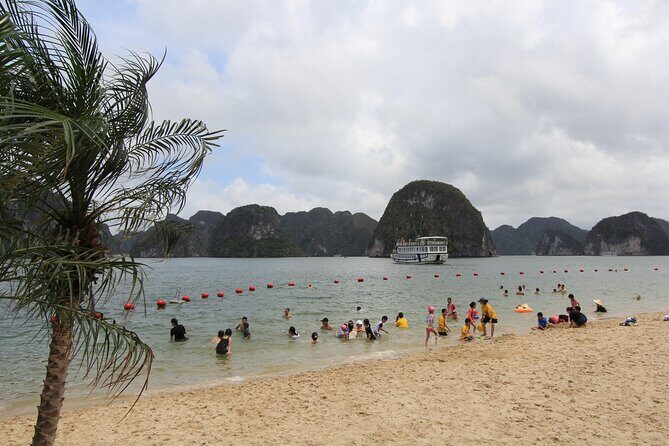 Hanoi - Ha Long Luxury Day Cruise with Kayak & Cave Adventure - Authenticity and Practicality: What Travelers Say