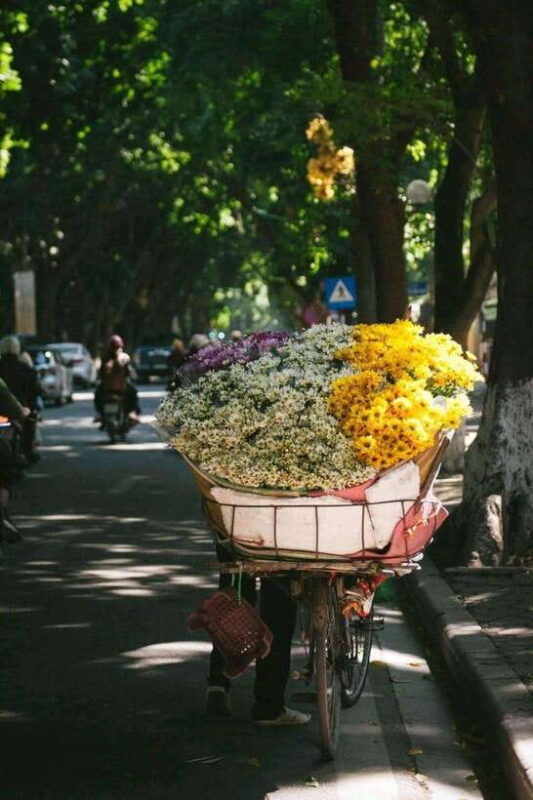 Hanoi: Half-day Private City Tour - A Closer Look at the Itinerary