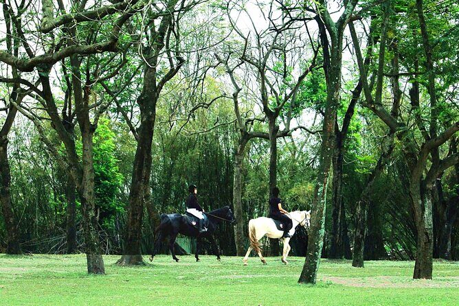 Hanoi Horseback Riding Tour - Exclusive Experience - Key Points