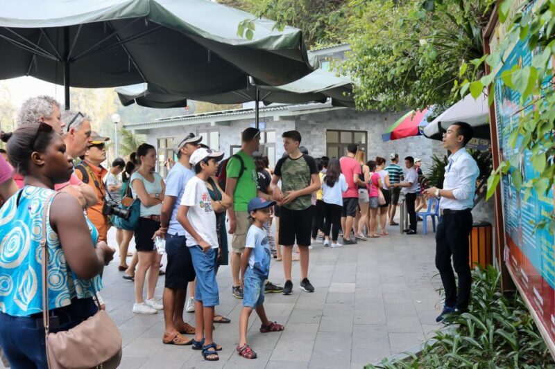 Hanoi: Islands & Caves Ha Long Cruise with Lunch & Kayaking - Final Thoughts