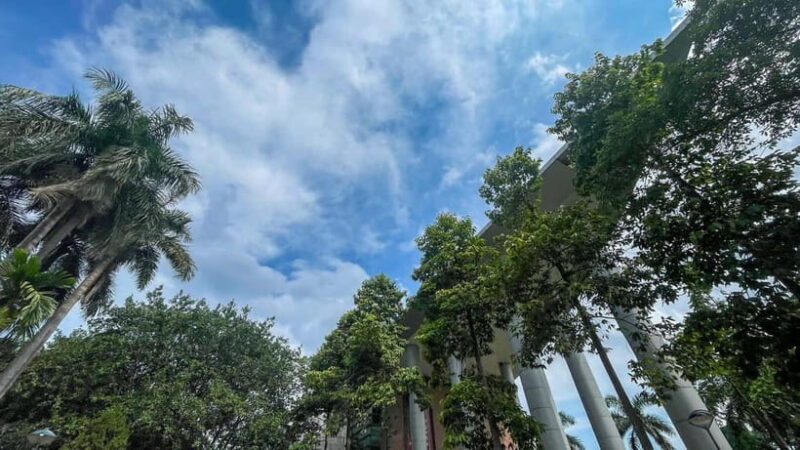 Hanoi: Museum of Ethnology and Quang Phu Cau Incense Village - An In-Depth Look at the Tour Experience