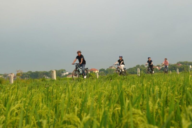 Hanoi: Ninh Binh Full-Day Visit Hoa Lu, Tam Coc and Mua Cave - Tam Coc: A Tranquil Boat Ride