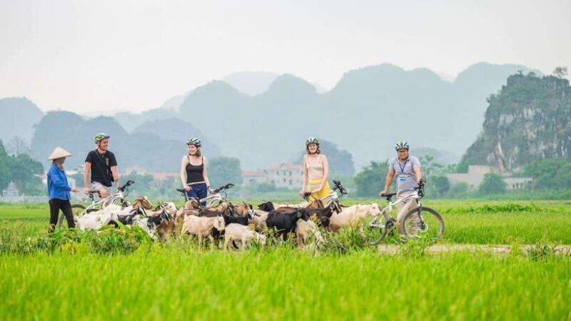 Hanoi: Ninh Binh, Hoa Lu, Tam Coc with Hanoi food tour - Exploring Ninh Binh: Nature, History, and Adventure