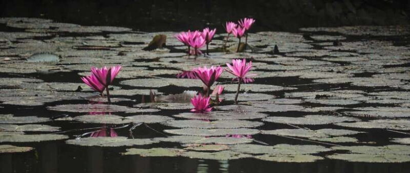 Hanoi: Ninh Binh, Tam Coc, Mua Cave & Hoa Lu with cycling - Final Thoughts