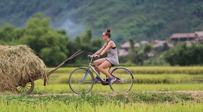 Hanoi: Private Ninh Binh Hoa Lu, Trang An/Tam Coc & Mua Cave - Who Should Consider This Tour?