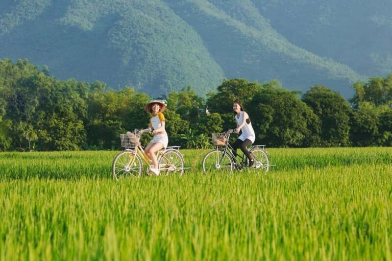 Hanoi: Private Ninh Binh Hoa Lu, Trang An/Tam Coc & Mua Cave - Final Thoughts
