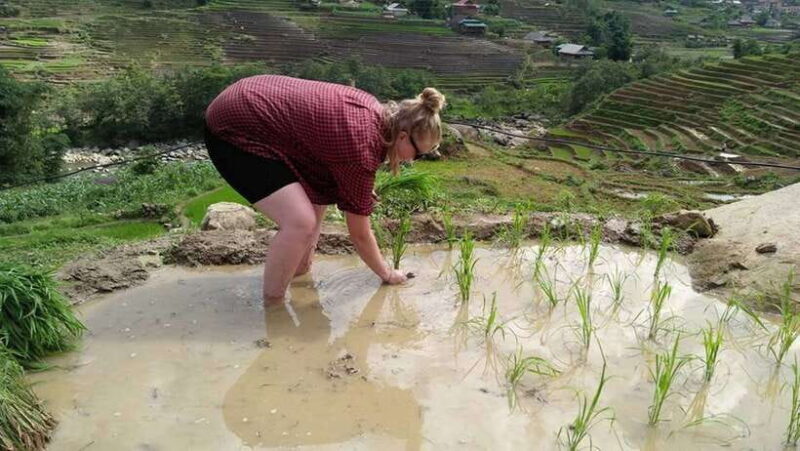 Hanoi- SaPa: 3-Day Homestay Trek to Explore Ethnic cultures - The Details That Matter