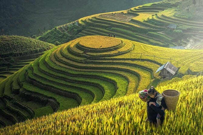 Hanoi Sapa Valley Cat Cat Village - Fansipan Legend 4D3N - Key Points