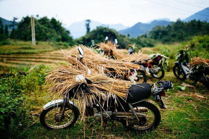 Hanoi Sapa Valley Cat Cat Village - Fansipan Legend 4D3N - Analyzing the Value