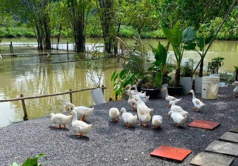 Hanoi: Scenic 1-Day Motorbike to Ninh Binhs Hidden Gems - Who Will Enjoy This Tour?