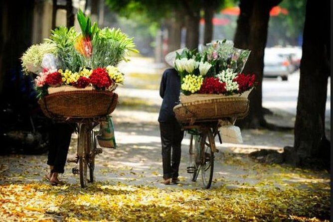 Hanoi street food tour (small group) - Authentic Experiences and Practical Details