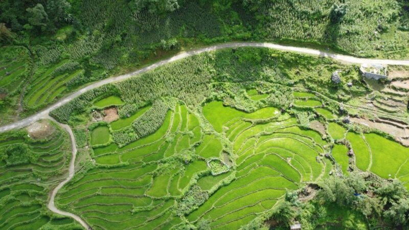 Hanoi to Sapa: Terraced Fields, Culture & Cuisine  3 Days - Authentic Experiences and Authenticity