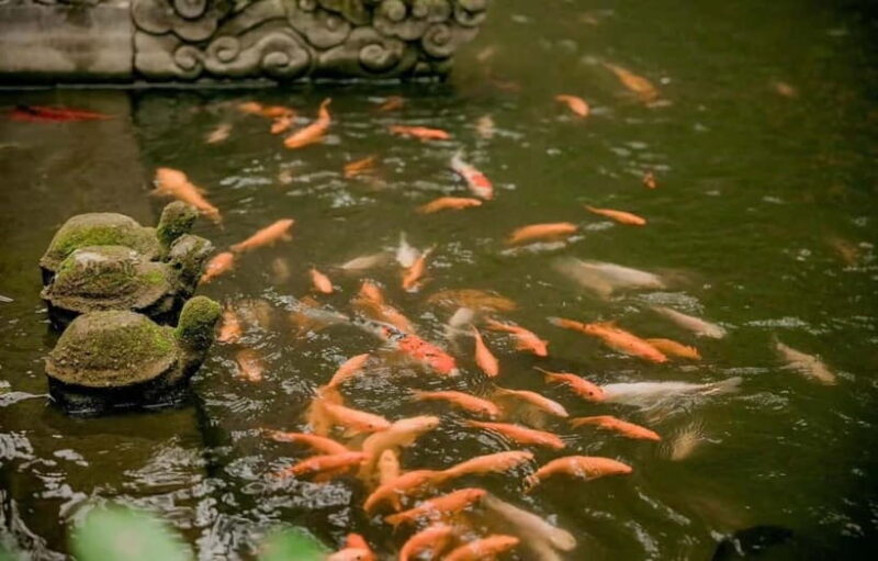 Hanoi: Viet Phu Thanh Chuong Guided Tour with Lunch & Pickup - The Value of the Tour