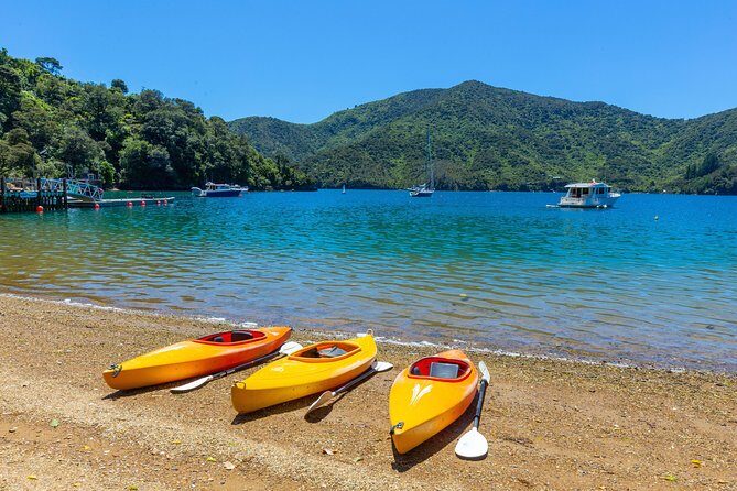 Happy Hour Cruise to Lochmara -from Picton? Take a short cruise - What Makes This Tour Stand Out