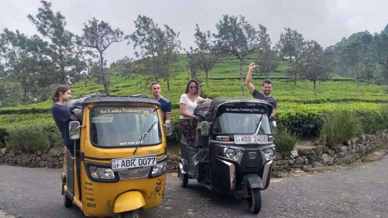 Haputale:Glorious Tuk Tuk Ride to Lipton'sSeat & Tea Factory - The Tuk Tuk Ride: Moving Through the Tea Landscape