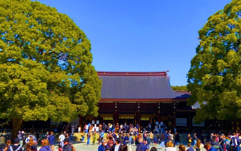 Harajuku : Blend of Tradition & Pop Culture for Family Tour - Transition to Takeshita Street: The Heart of Kawaii Culture