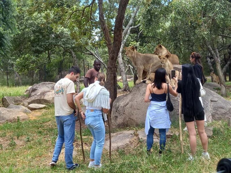 Harare: Half Day Outdoor Adventure - Key Points