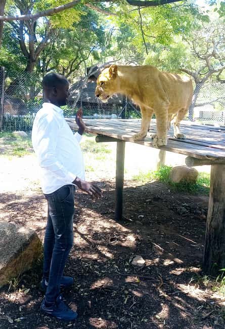 Harare: Half Day Outdoor Adventure - What to Expect from the Tour