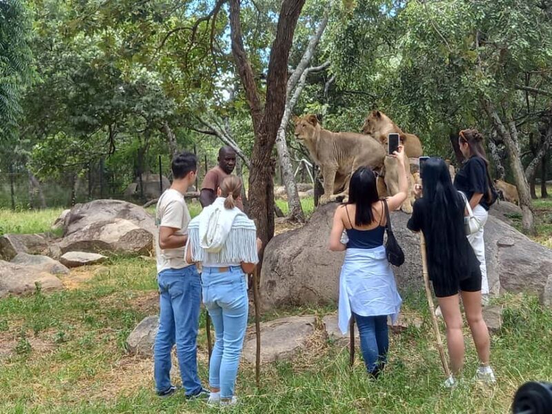 Harare: Half Day Outdoor Adventure - Authentic, Personal, and Value-Oriented